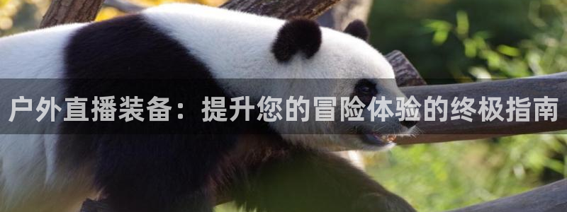必一运动bsport体育